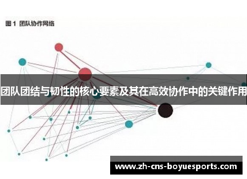 团队团结与韧性的核心要素及其在高效协作中的关键作用