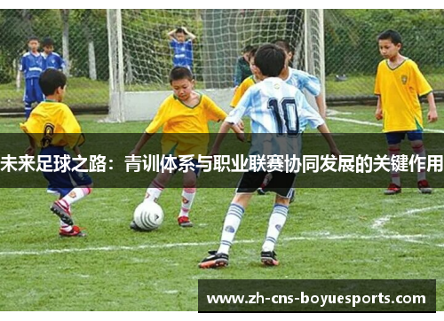 未来足球之路：青训体系与职业联赛协同发展的关键作用
