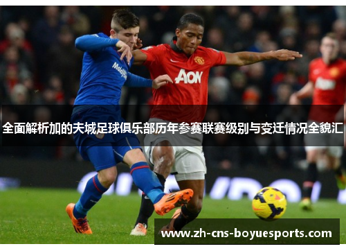 全面解析加的夫城足球俱乐部历年参赛联赛级别与变迁情况全貌汇